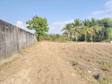 Land for Sale Near Chiang Mai City – Saraphi Starting 8,000 THB/Sq.wah