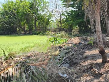Land for Sale Near Chiang Mai City – Saraphi Starting 8,000 THB/Sq.wah
