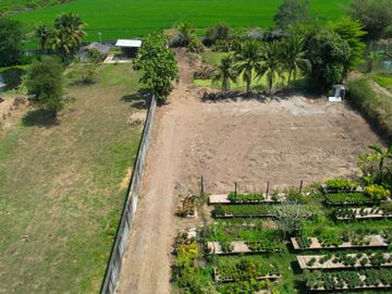 Land for Sale Near Chiang Mai City – Saraphi Starting 8,000 THB/Sq.wah