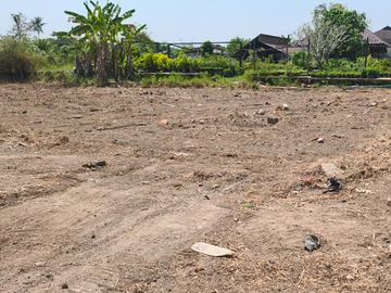 Land for Sale Near Chiang Mai City – Saraphi Starting 8,000 THB/Sq.wah