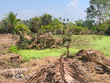 Land for Sale Near Chiang Mai City – Saraphi Starting 8,000 THB/Sq.wah