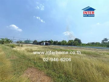 Land + 1-story house, 2 rai 364 sq.wa. Land and house near Kamphaeng Saen Beef Cattle Cooperative, near Bangchak gas station, Pathum Thani-Bang Len Ro