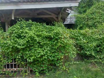 Dijual Rumah Hancur