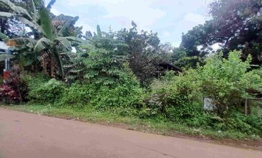 Tanah Kebun Posisi Huk Di Leuwinanggung Tapos Depok Jawa Barat