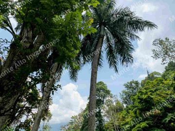 VENTA | Finca con 2 casas y doble escritura en San Antonio del Tequendama 🌿 Naturaleza y proyección