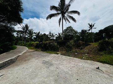 Tanah jungle payangan ubud