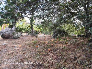 Venta de casa lote en Doima Cundinamarca
