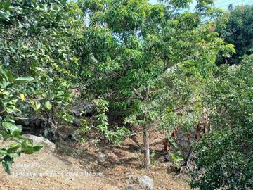 Venta de casa lote en Doima Cundinamarca