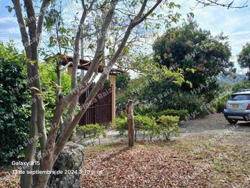 Venta de casa lote en Doima Cundinamarca