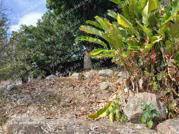 Venta de casa lote en Doima Cundinamarca