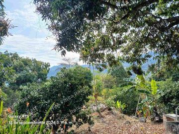 Venta de casa lote en Doima Cundinamarca