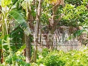 Tanah Tembalang Bulusan Undip