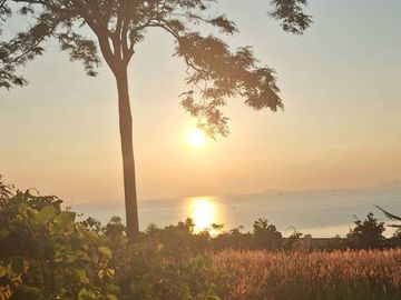 Prime Land for Sale in Koh Samui | 