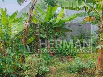 Tanah Tembalang Bulusan Undip