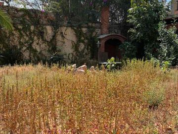 OPORTUNIDAD SE VENDE CASA A PRECIO DE TERRENO