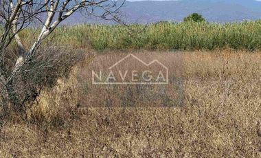 Amplio Terreno de 1 Hectárea en San Juan de Dios Reyes Etla – Ideal para Rancho