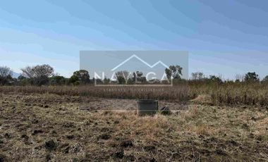 Amplio Terreno de 1 Hectárea en San Juan de Dios Reyes Etla – Ideal para Rancho