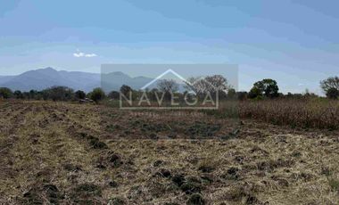 Amplio Terreno de 1 Hectárea en San Juan de Dios Reyes Etla – Ideal para Rancho