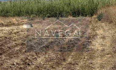 Amplio Terreno de 1 Hectárea en San Juan de Dios Reyes Etla – Ideal para Rancho