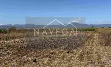 Amplio Terreno de 1 Hectárea en San Juan de Dios Reyes Etla – Ideal para Rancho