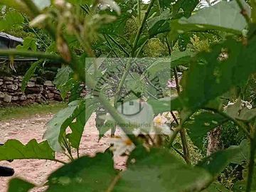 Terreno 388 M2 en Santa Ana Tarapoto