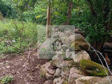 Terreno 388 M2 en Santa Ana Tarapoto