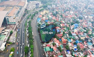 For Sale: 3,015 sqm Residential Lot for Sale in Taguig City