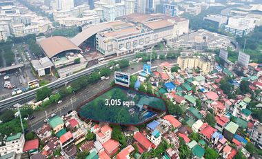 For Sale: 3,015 sqm Residential Lot in Fort Bonifacio, Taguig City