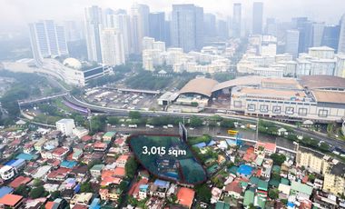 3,015 sqm Residential Lot for Sale in Fort Bonifacio, Taguig City