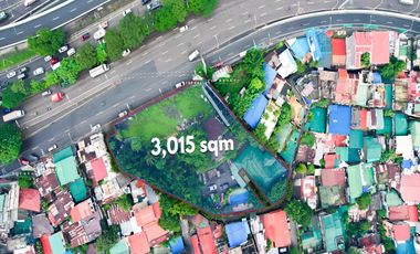 3,015 sqm Residential Lot for Sale in Fort Bonifacio, Taguig City