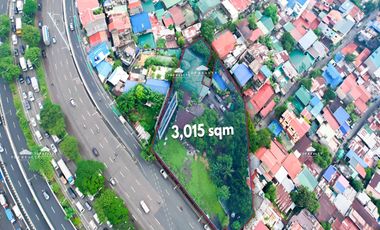 3,015 sqm Residential Lot for Sale in Fort Bonifacio, Taguig City