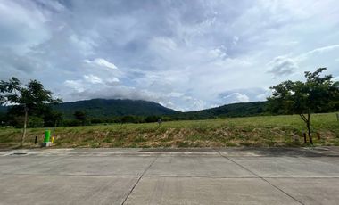 New Residential Lot for Sale in Ayala Greenfield Estates, Calamba, Laguna