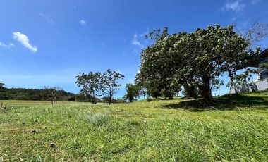 New Residential Lot for Sale in Ayala Greenfield Estates, Calamba, Laguna