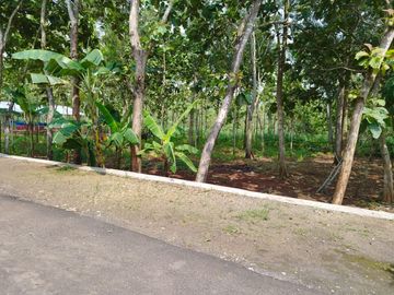 Tanah dijual di Karangrejek dekat pantai Baron, Wonosari, Gungungkidul.