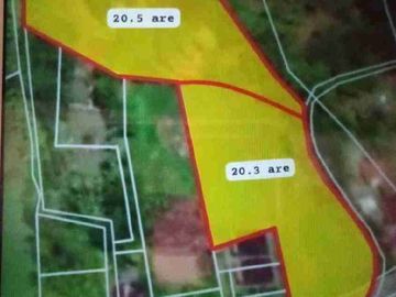 Tanah Megati Bantas Selemadeg Timur Zona Kuning
