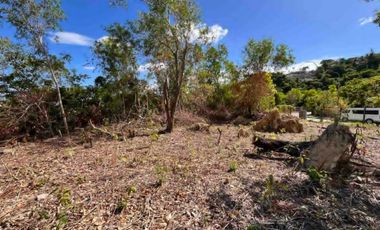 Premium Lot for Sale in Maria Luisa Estate Park – The Highlands
