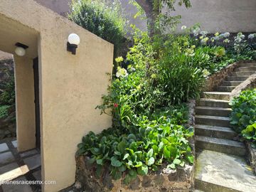 Casa en renta con amplio jardín | San Miguel Xicalco, Tlalpan | 1.100 m² de terreno