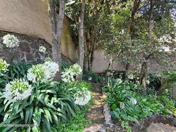 Casa en renta con amplio jardín | San Miguel Xicalco, Tlalpan | 1.100 m² de terreno