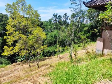 Lahan 60 Are Tegallalang Cocok Untuk Eco Resort