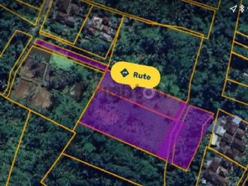 Lahan 60 Are Tegallalang Cocok Untuk Eco Resort