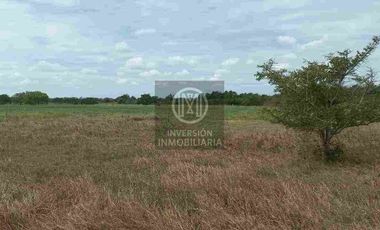 Oportunidad para desarrollo,muy cerca de la mancha urbana de Boca del Rio