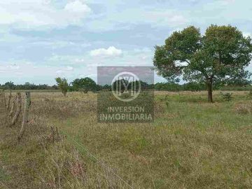 Oportunidad para desarrollo,muy cerca de la mancha urbana de Boca del Rio