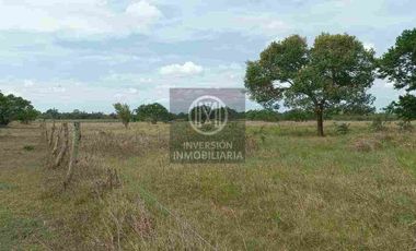 Oportunidad para desarrollo,muy cerca de la mancha urbana de Boca del Rio