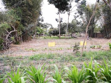 Terreno en Pachacamac  5,310 m2