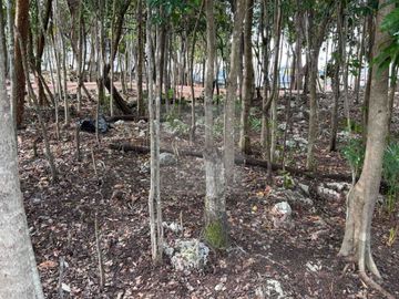 lCasa Familiar en Cancún Zona de Mayor Plusvalía