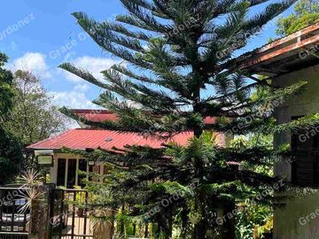 MARILAQUE, TANAY, 1 HECTARE LOT