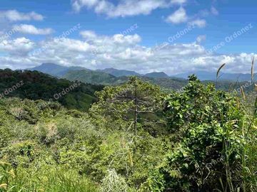 MARILAQUE, TANAY, 1 HECTARE LOT