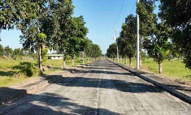 Last 300 sqm Commercial lot for sale!