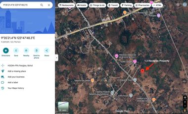 13,553 SQM | PRIME LAND NEAR PANGLAO AIRPORT – HIGH POTENTIAL INVESTMENT ✈️🌴