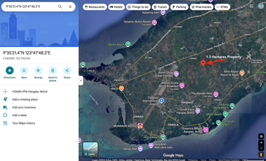 13,553 SQM | PRIME LAND NEAR PANGLAO AIRPORT – HIGH POTENTIAL INVESTMENT ✈️🌴